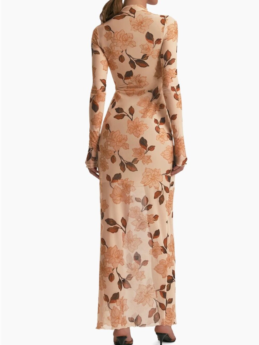 The Sheer Fantasy Maxi Dress - Picture 2 of 3